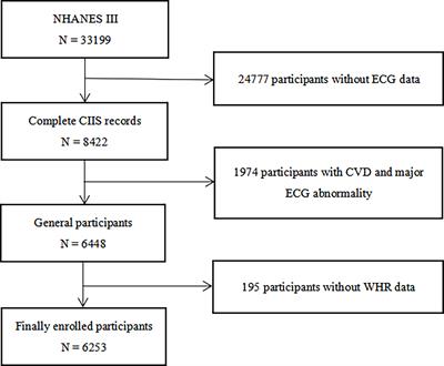 Association between waist-hip ratio and subclinical myocardial injury in the general population: Insights from the NHANES